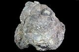 Crystal Filled Dugway Geode (Polished Half) #67479-3